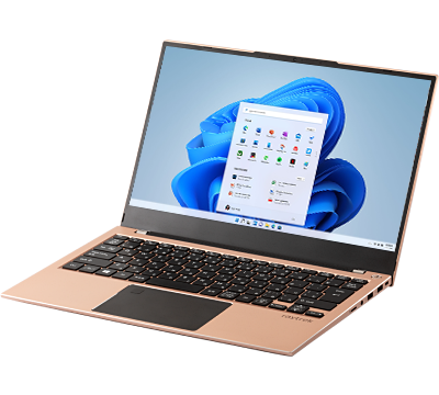 raytrek X4-T Rose Gold