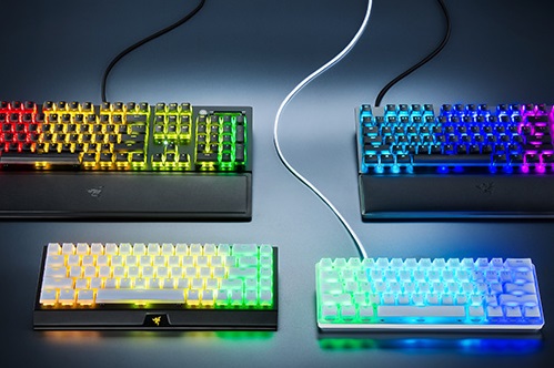 ゲーミングデバイスブランド「RAZER」の影響